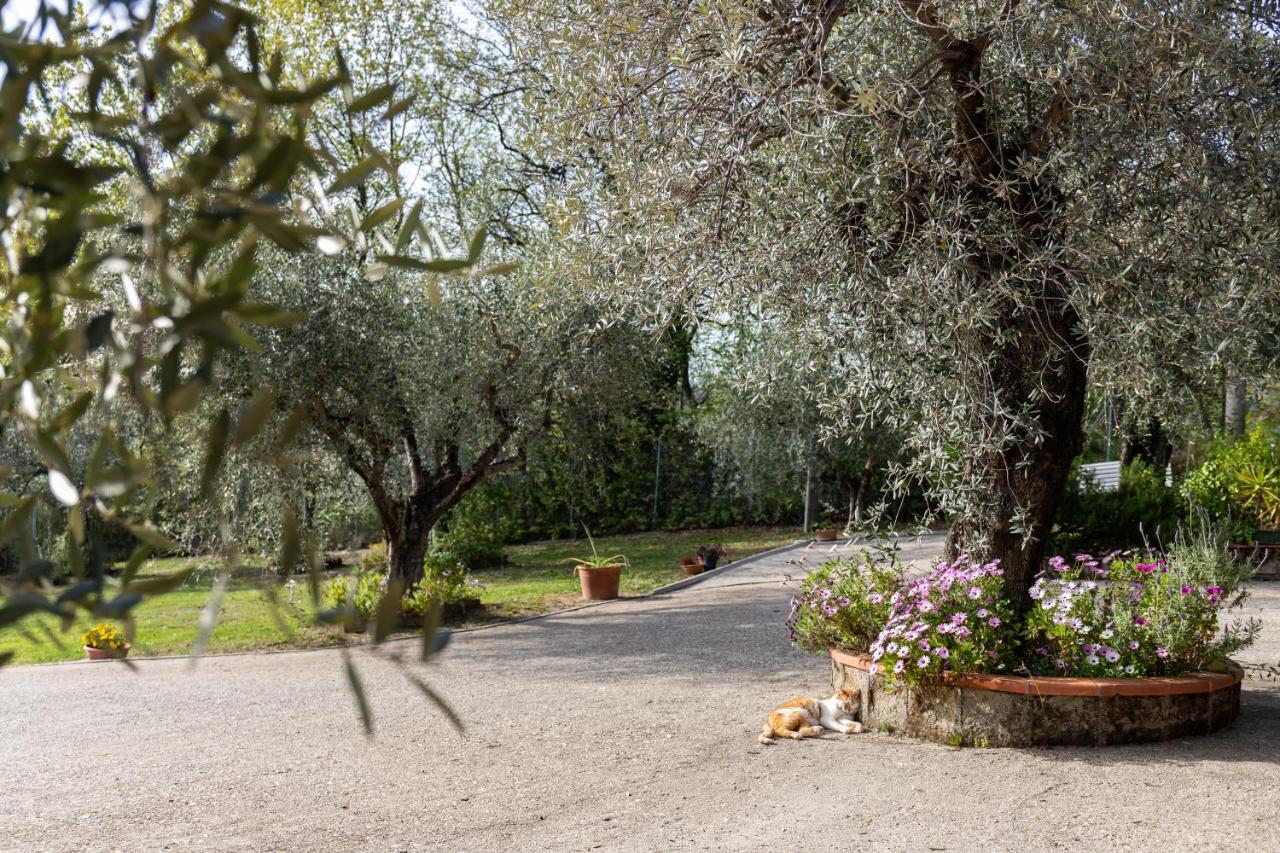 La Tana Delle Stelle B&B Di Charme E Relax Fara in Sabina ภายนอก รูปภาพ