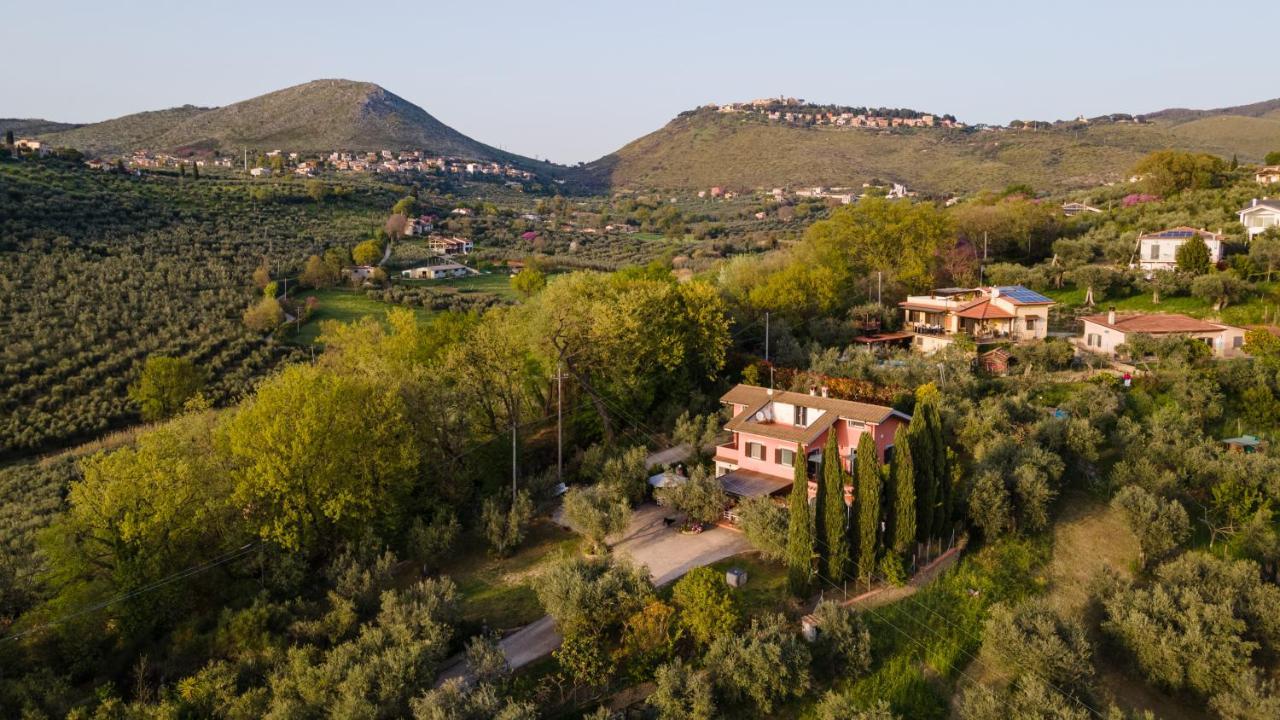 La Tana Delle Stelle B&B Di Charme E Relax Fara in Sabina ภายนอก รูปภาพ