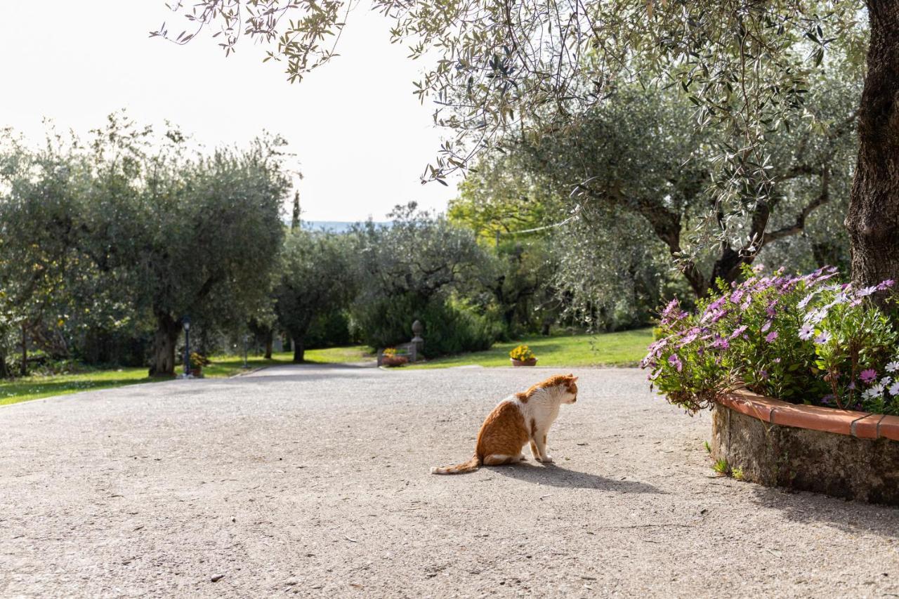 La Tana Delle Stelle B&B Di Charme E Relax Fara in Sabina ภายนอก รูปภาพ