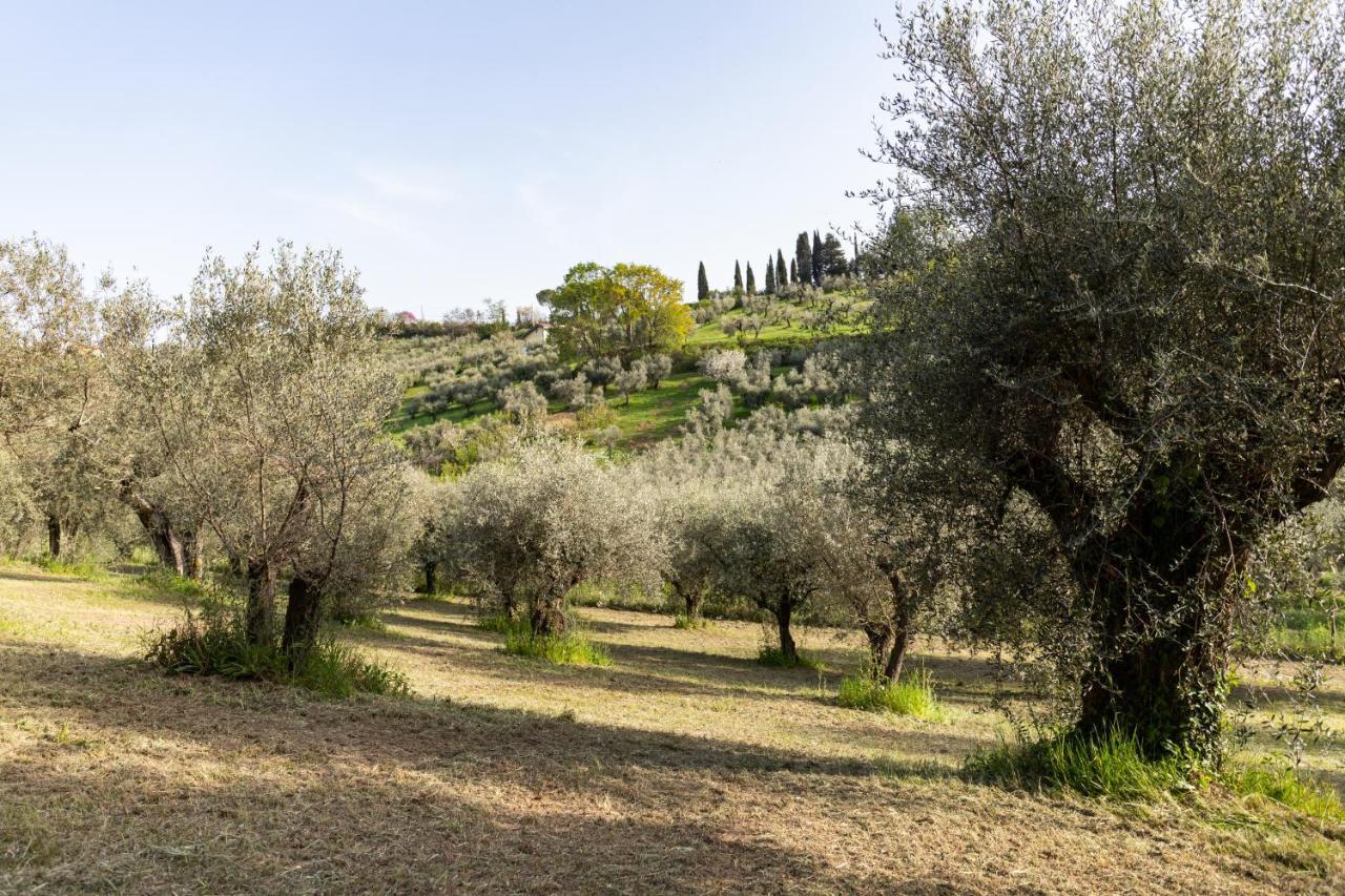 La Tana Delle Stelle B&B Di Charme E Relax Fara in Sabina ภายนอก รูปภาพ